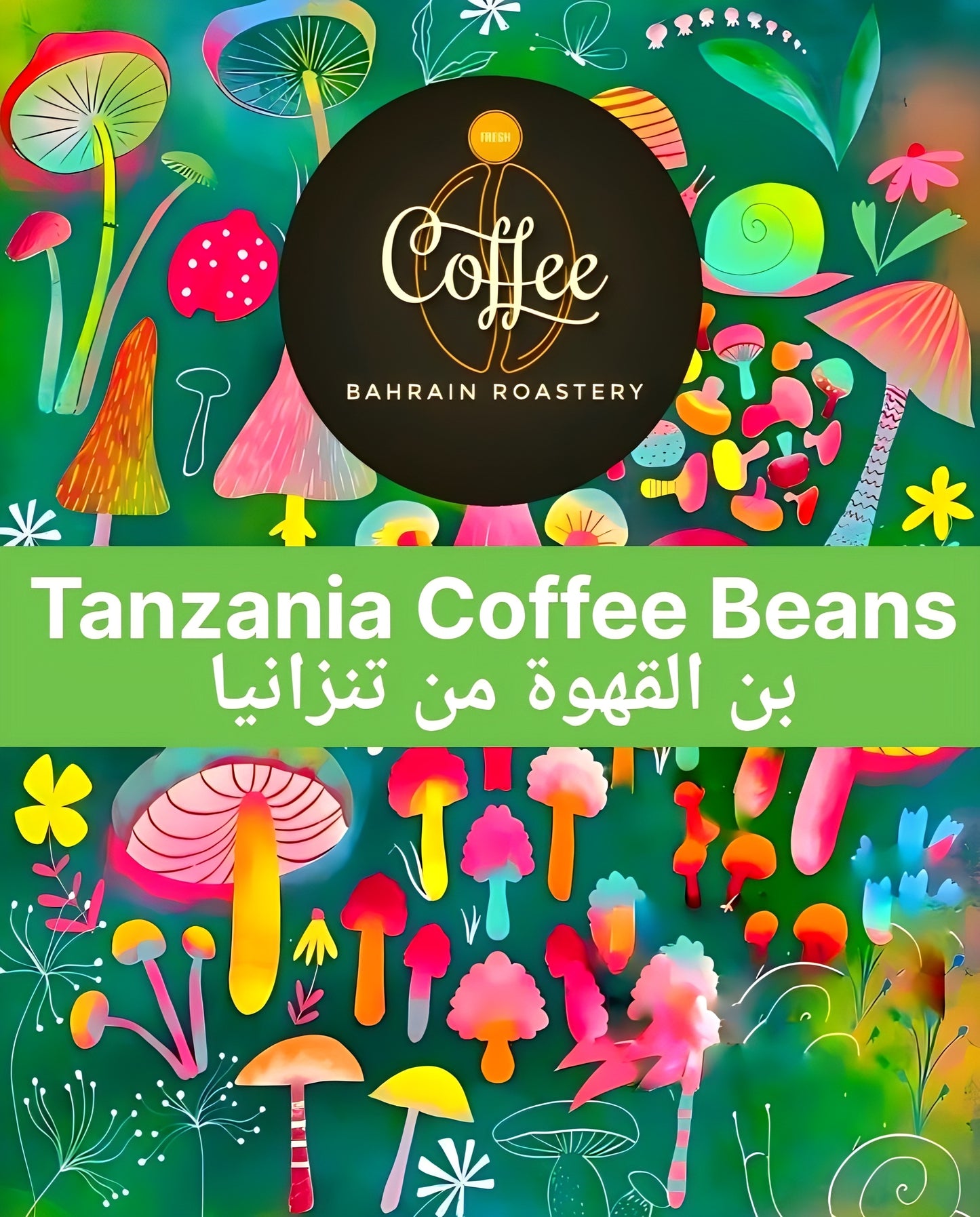 Tanzania Coffee Beans بن القهوة من تنزانيا