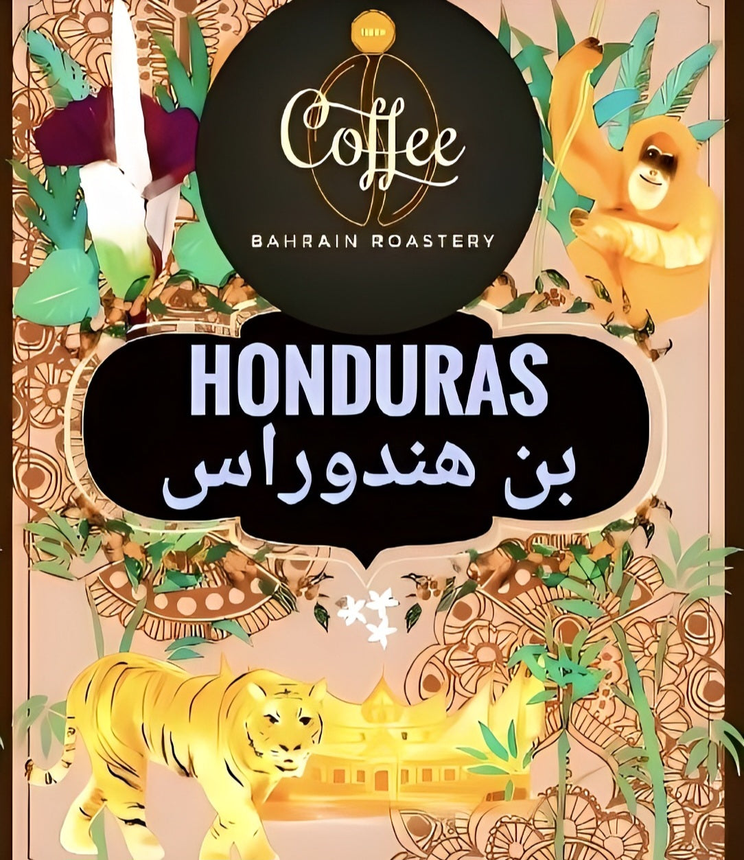 Honduras Coffee Beans 1/2 KG بن هندوراس